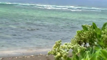 Relaxing Music - Aloha To Julie by J Michele Bodine Hawaii Hd 