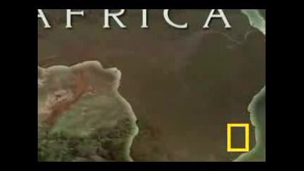 Gorilla Vs. Gorilla