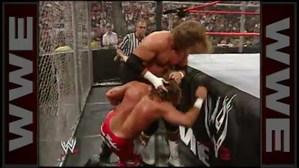 Shawn Michaels vs. Triple H: Bad Blood 2004 - Hell in a Cell Match