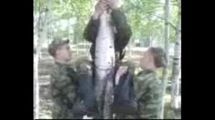 Dedov6tina V Armii.flv