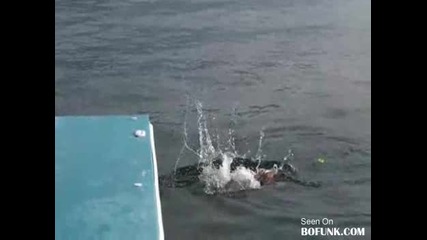 Куче прави бомби във водата 