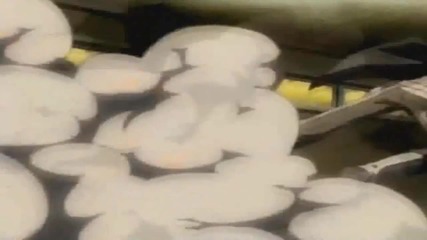 Katekyo Hitman Reborn Had Enough Mep [full]