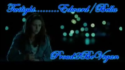 Twilight - 21 guns 