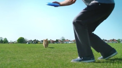 O2 - Be More Dog