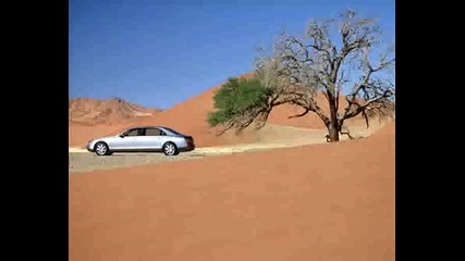 Maibah