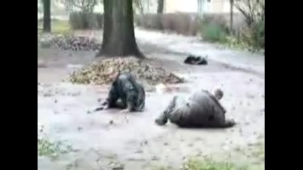 Много Смях - пияници