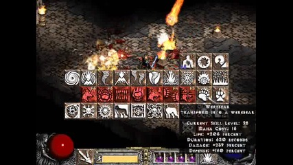 my In diablo 2 89level