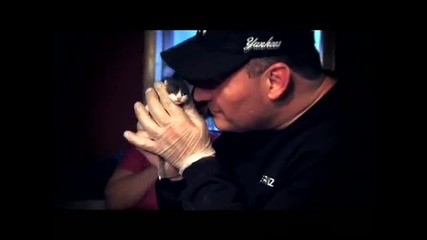 Rescue inc. Спасителен отряд.