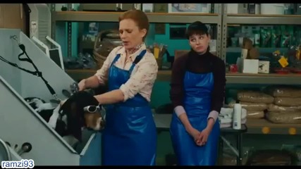 A Bird Of The Air Official Trailer