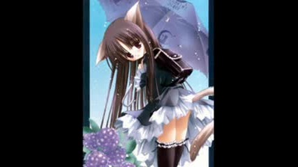 Cat And Bunny Anime Girls