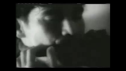 Celine Dion - Did You Give Enough Love 
