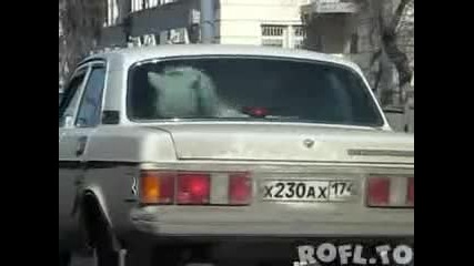 Има ли такова нещо - кон в автомобил 