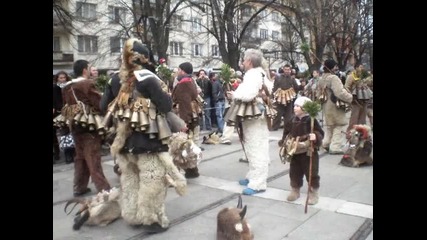 Surva Pernik 2013