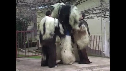 Strumica Carnival Path#3