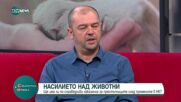 Насилието над животни: Ще има ли по-справедливи наказания след промените в НК?