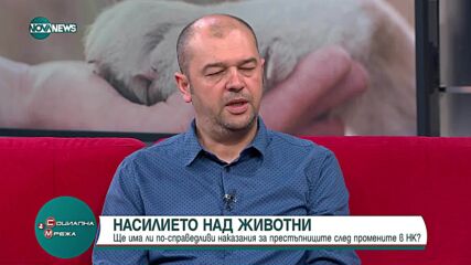 Насилието над животни: Ще има ли по-справедливи наказания след промените в НК?
