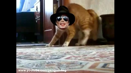 Коте изчезва с финес 2 (new version) Thriller Cat