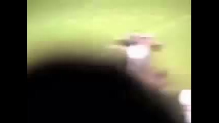 Comedy Football