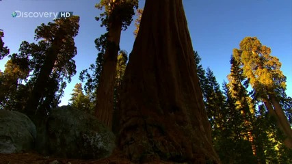 Sunrise Earth - Sequoia Light ( Part 2 / 5 ) * H D * 
