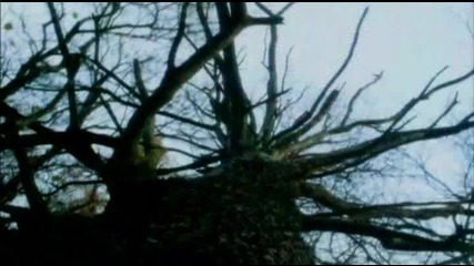 Bbc - Wild Weather Wet elit bg com