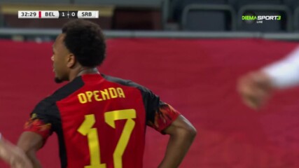 Белгия - Сърбия 1:0 /репортаж/