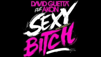 David Guetta - Sexy Bitch 
