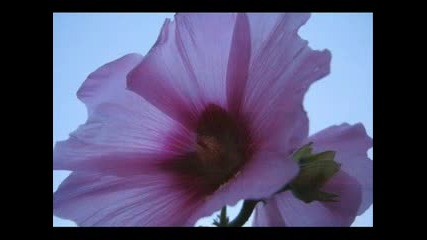 Gheorghe Zamfir - Unchained Melody