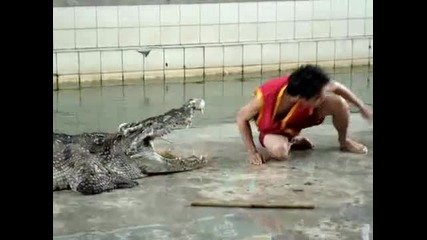Шоу с крокодил !!! 