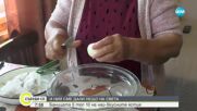 Българската баница със сирене в топ 100 на най-вкусните ястия