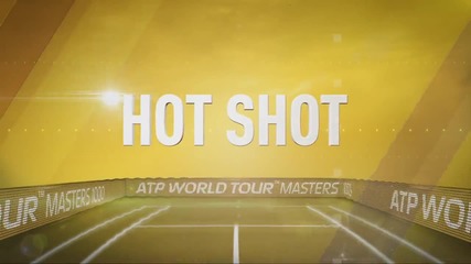 Indian Wells 2014 [final] Hot Shot From Novak Djokovic