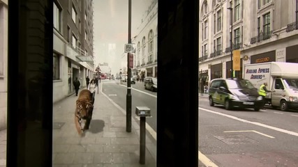 Изключително видео!необичайна автобусна спирка , която поднася много изненади !
