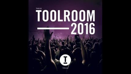 This is Toolroom records 2016 cd2