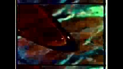 Sponge - Wax Ecstatic (to sell Angelina)