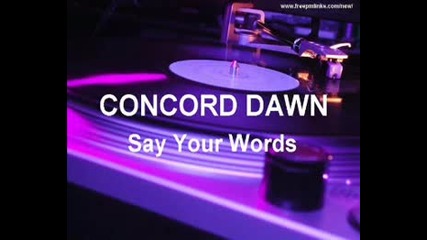 Concord Down - Say Your Words