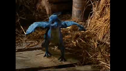 Baby Saphira