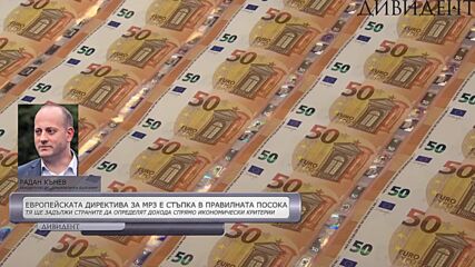 Радан Кънев: Само в България МРЗ е произволен политически акт