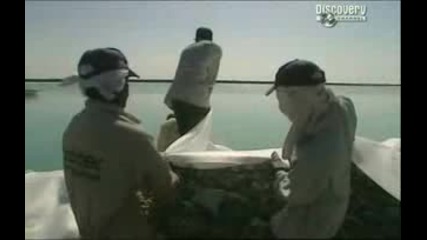 Островът На Мечтите Част 4/5 (discovery Channel.)