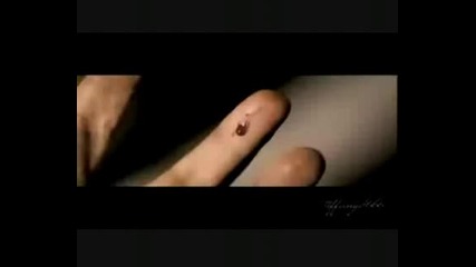 ~exclusive~official new moon trailer 2009 [hq] - fan made