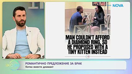 Романтично предложение за брак: Котка вместо диамант | На кафе | 17 мар. 2026