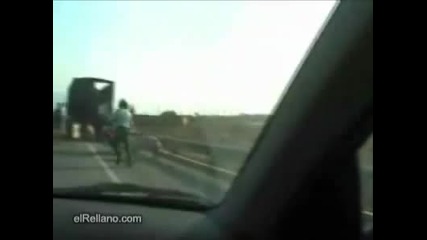 Полицай преследва прасе на магистралата