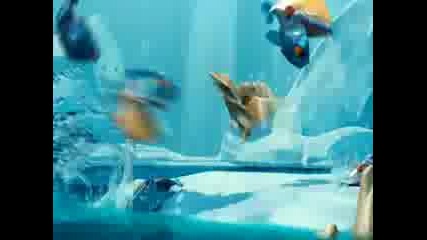 Scrat 2