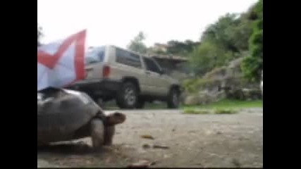 A Behind The Scenes Video