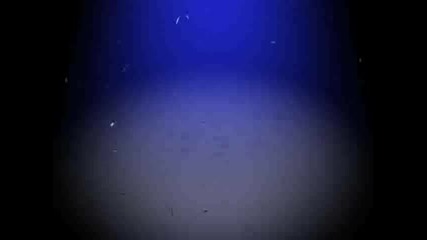 Blackbea