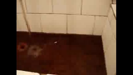 Каква Вода Пием Подяволите 3