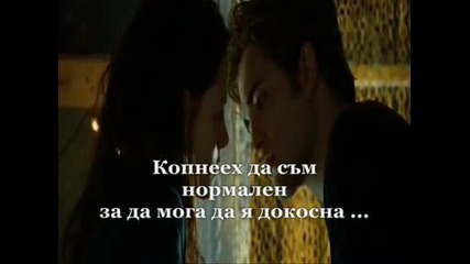 Midnight Sun