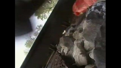 Изпитайте тръпката!!!!! 