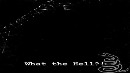 Metallica - The Struggle Within