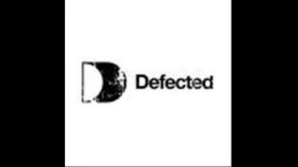 defected in the house 2010 