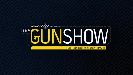 The Gun Show - Call of Duty Black Ops 2