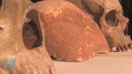 Stone Tool Discovery Pushes Back Dawn of Culture